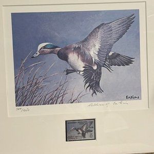 Maryland Migratory Duck Stamp Print "FLARING WIDGEON" Arthur Eakin 1981 #344